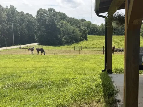 181 Hayes Ridge Road Indian Mound TN 37079