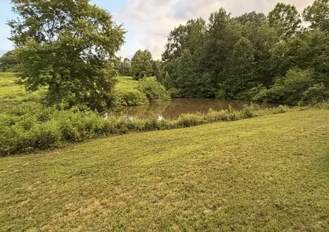 181 Hayes Ridge Road Indian Mound TN 37079