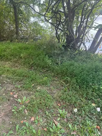 0 Circle Road Crossville TN 38572