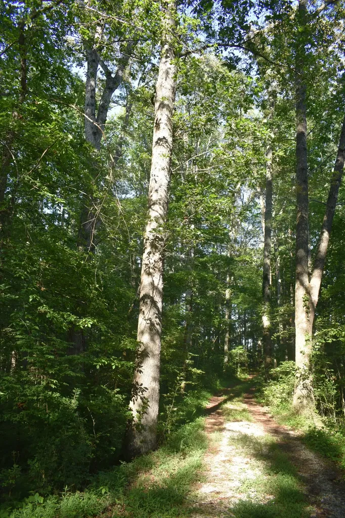 1835 Friendship Lane Cookeville TN 38501