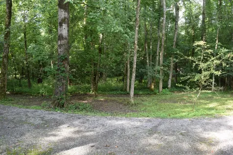 9856 Mullins Cove Road Whitwell TN 37397