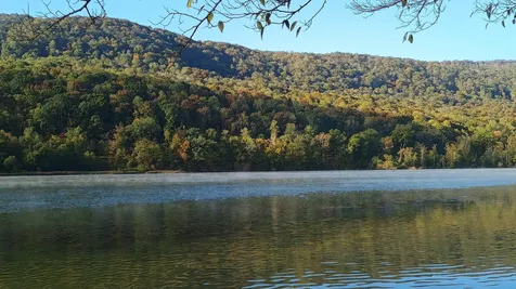 9856 Mullins Cove Road Whitwell TN 37397