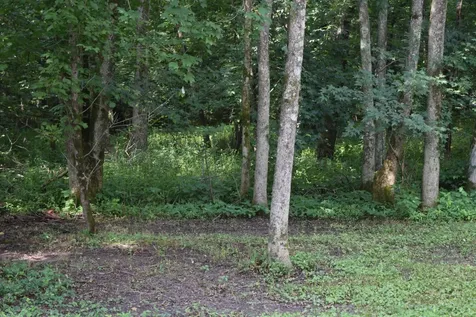 9856 Mullins Cove Road Whitwell TN 37397