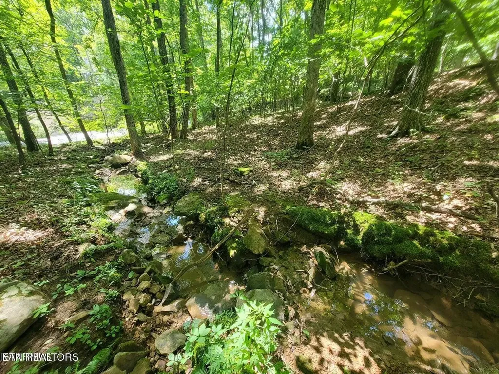 159 Sugarbush Circle Crossville TN 38558