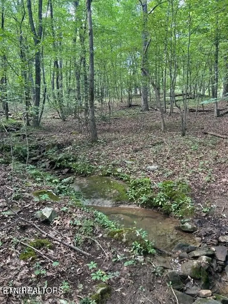 159 Sugarbush Circle Crossville TN 38558