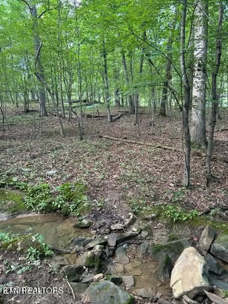 159 Sugarbush Circle Crossville TN 38558