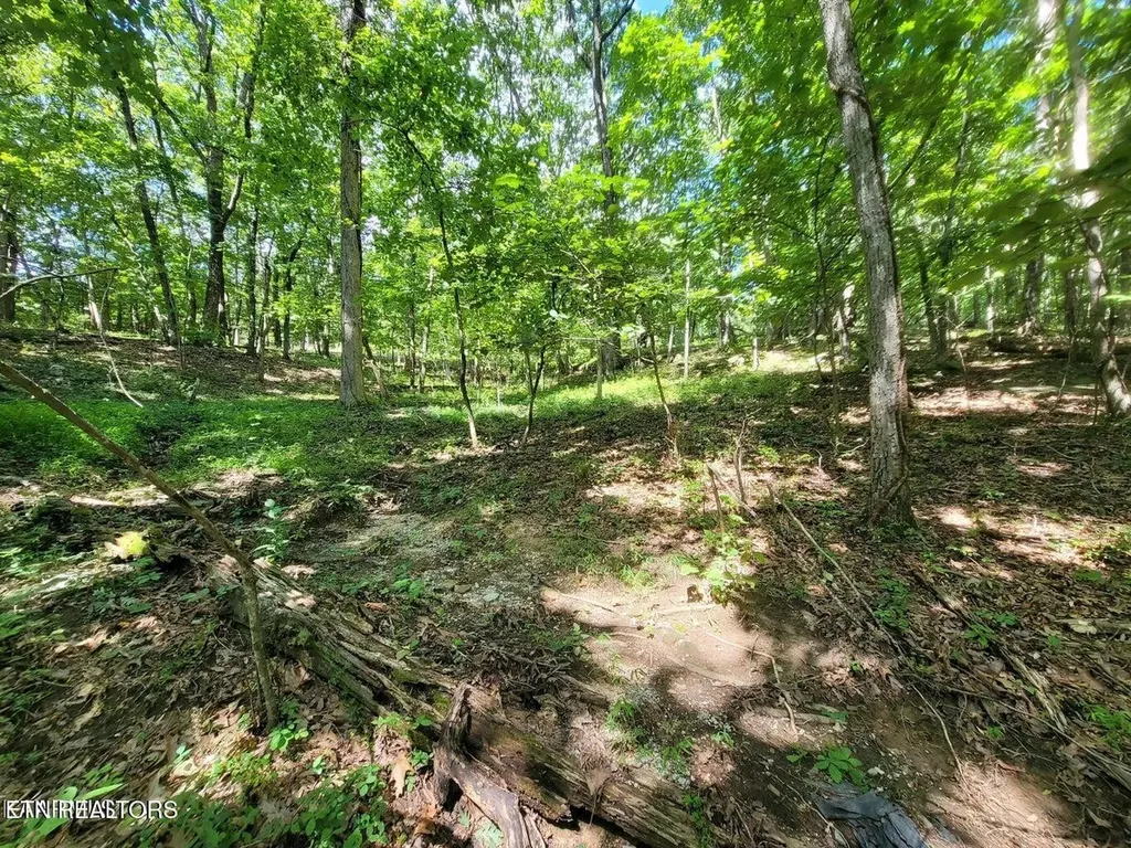159 Sugarbush Circle Crossville TN 38558