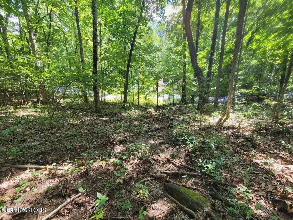159 Sugarbush Circle Crossville TN 38558
