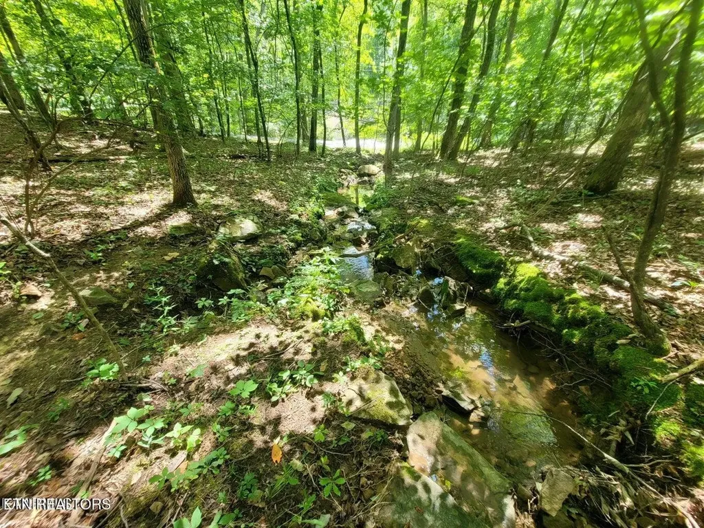 159 Sugarbush Circle Crossville TN 38558
