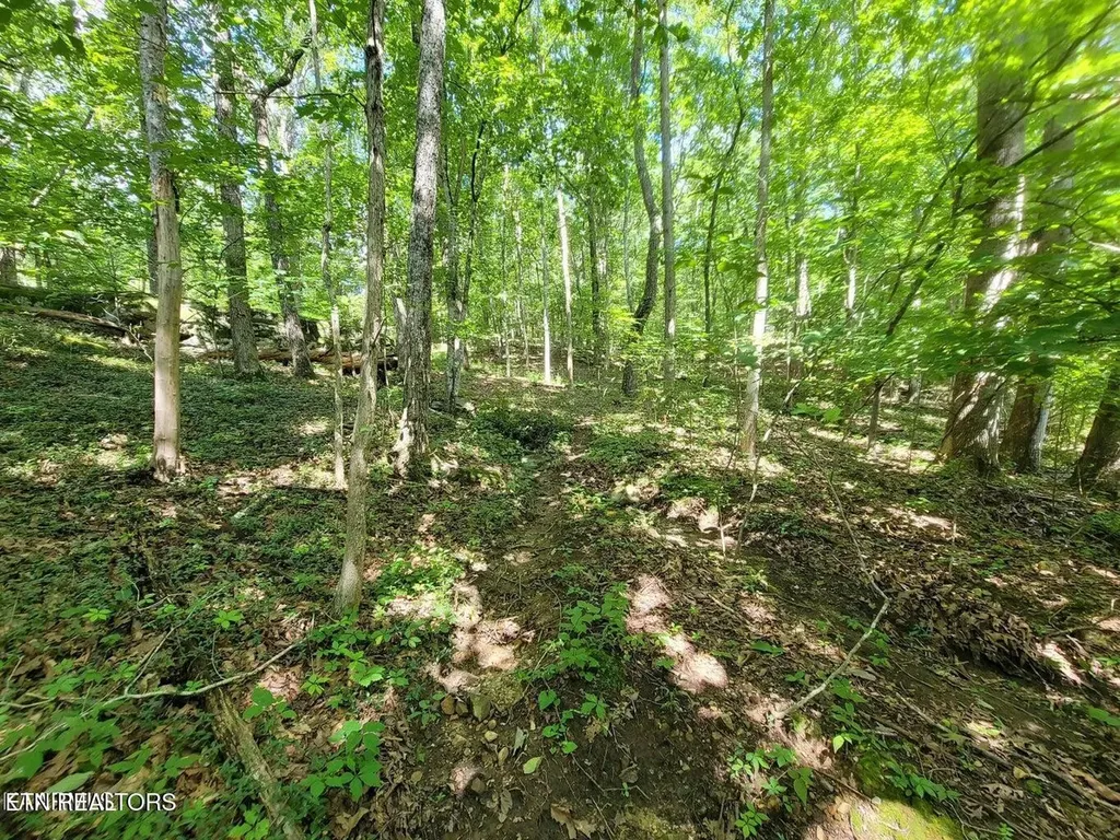 159 Sugarbush Circle Crossville TN 38558