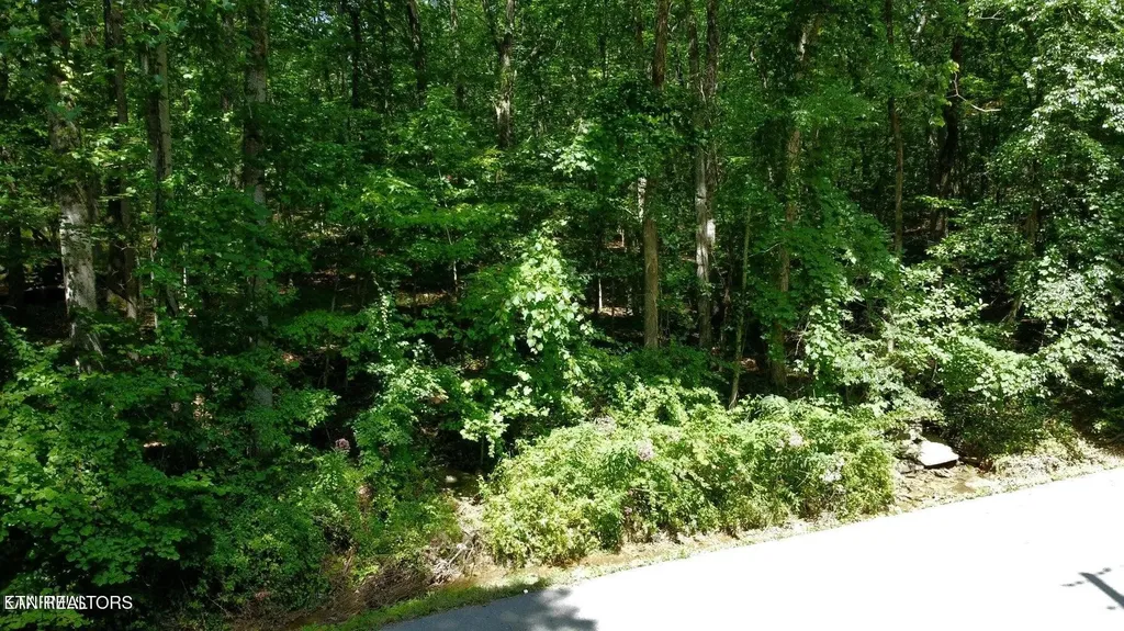 159 Sugarbush Circle Crossville TN 38558