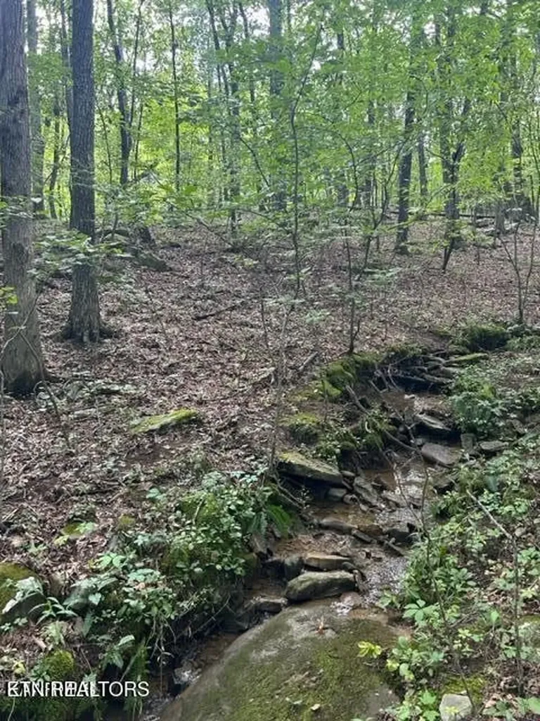 159 Sugarbush Circle Crossville TN 38558