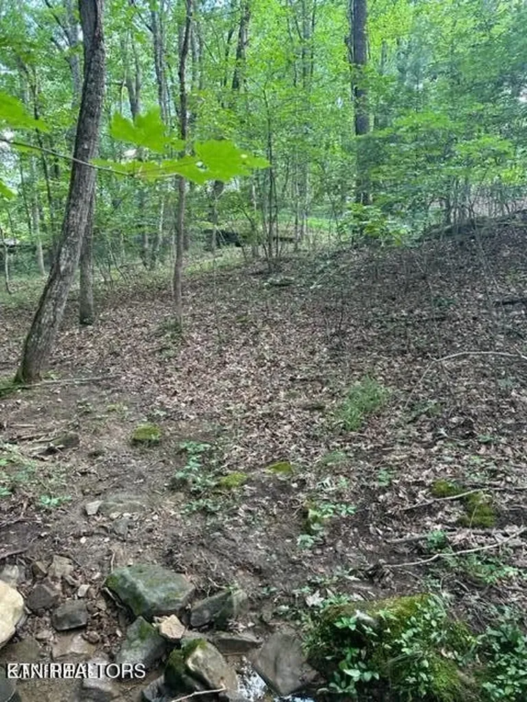 159 Sugarbush Circle Crossville TN 38558