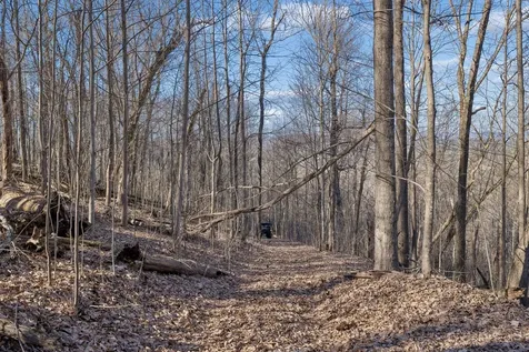215 Hickman Creek Road S Hickman TN 38567