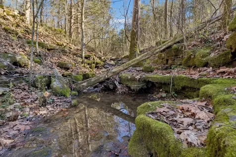 215 Hickman Creek Road S Hickman TN 38567
