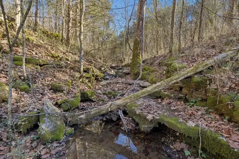 215 Hickman Creek Road S Hickman TN 38567