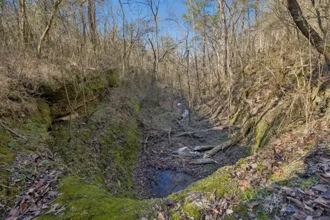 215 Hickman Creek Road S Hickman TN 38567