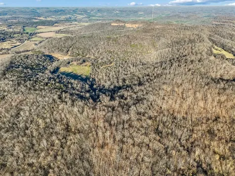 215 Hickman Creek Road S Hickman TN 38567