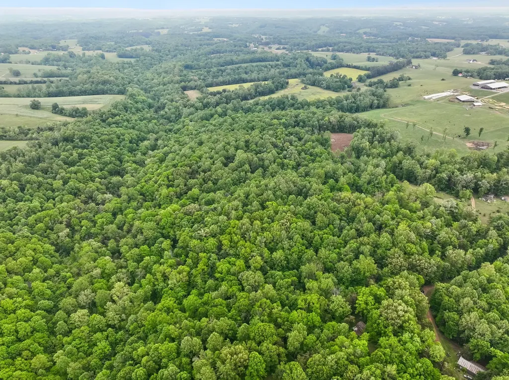 0 Wilderness Lane Lafayette TN 37083