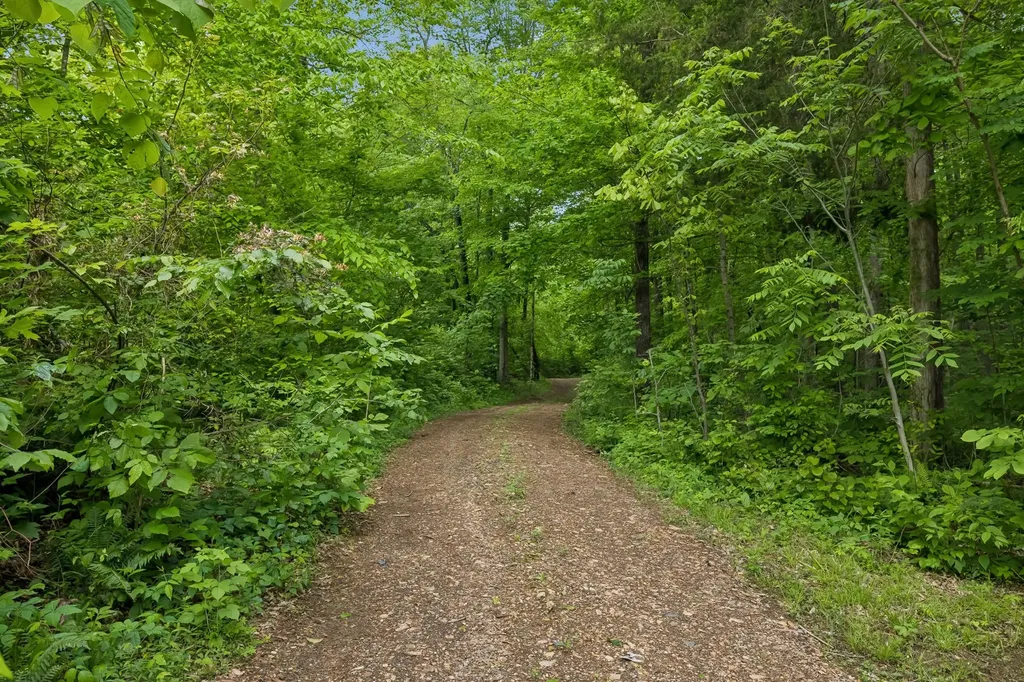 0 Wilderness Lane Lafayette TN 37083