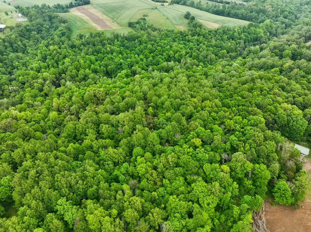 0 Wilderness Lane Lafayette TN 37083