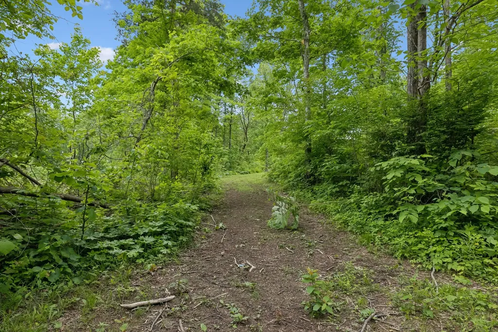 0 Wilderness Lane Lafayette TN 37083