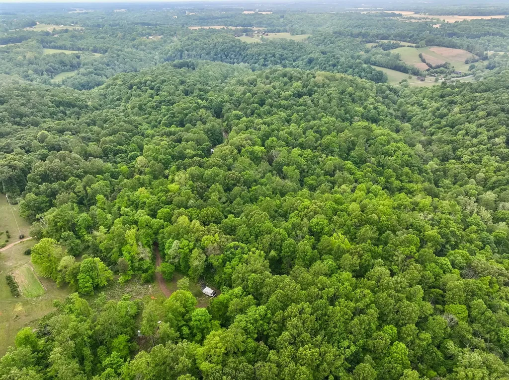0 Wilderness Lane Lafayette TN 37083