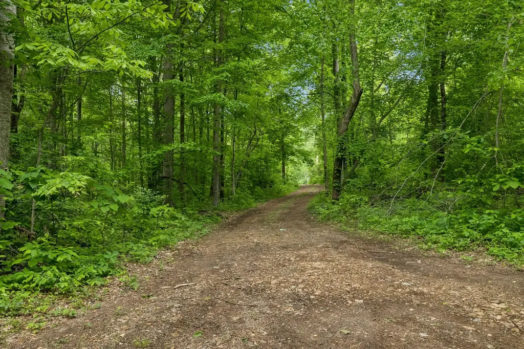 0 Wilderness Lane Lafayette TN 37083
