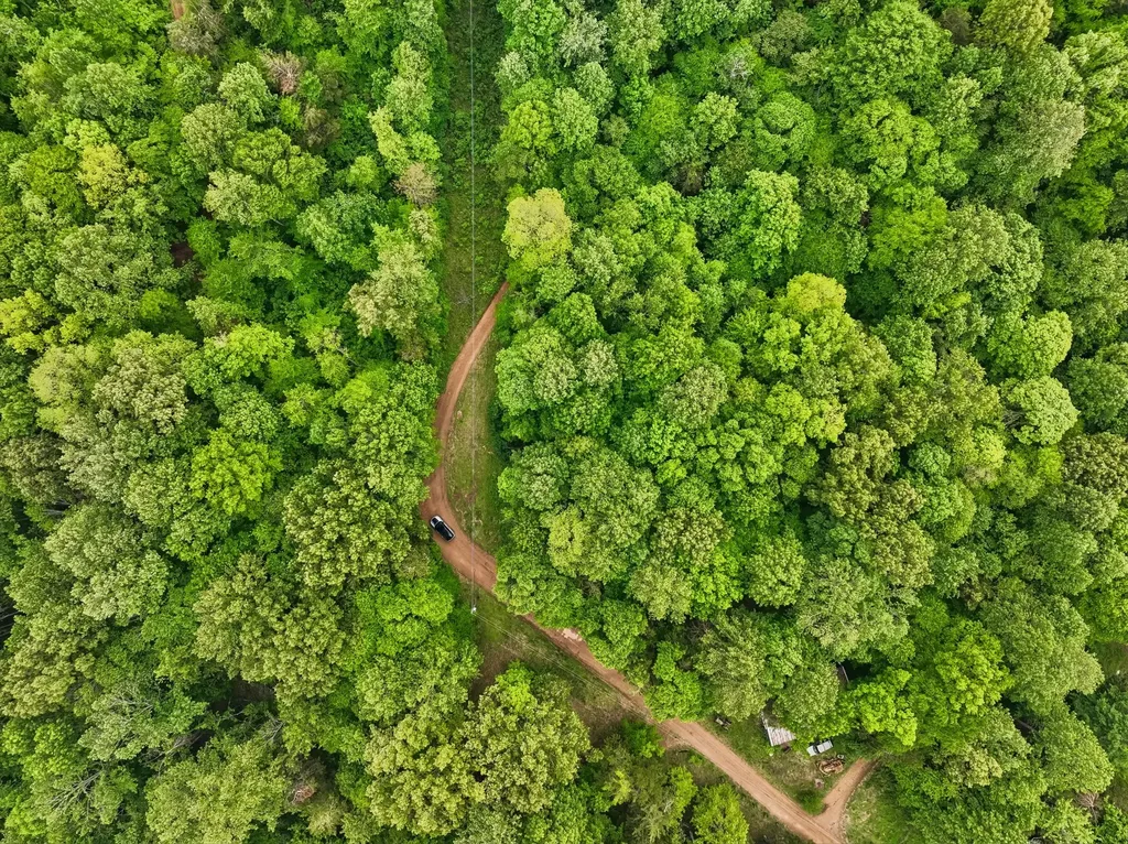 0 Wilderness Lane Lafayette TN 37083