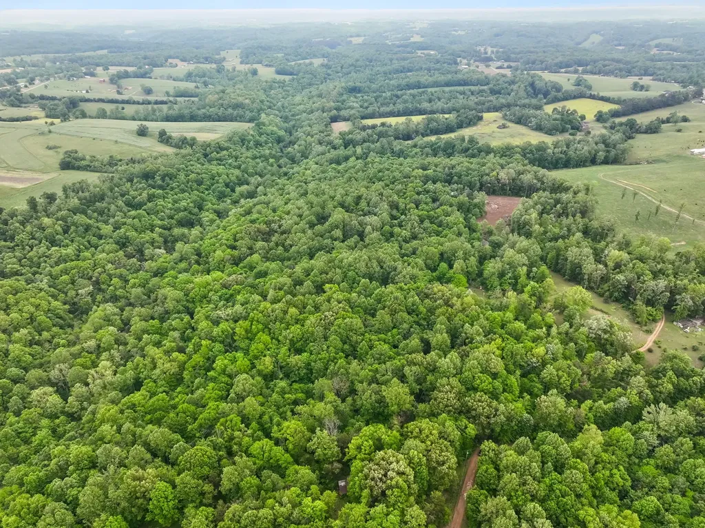 0 Wilderness Lane Lafayette TN 37083