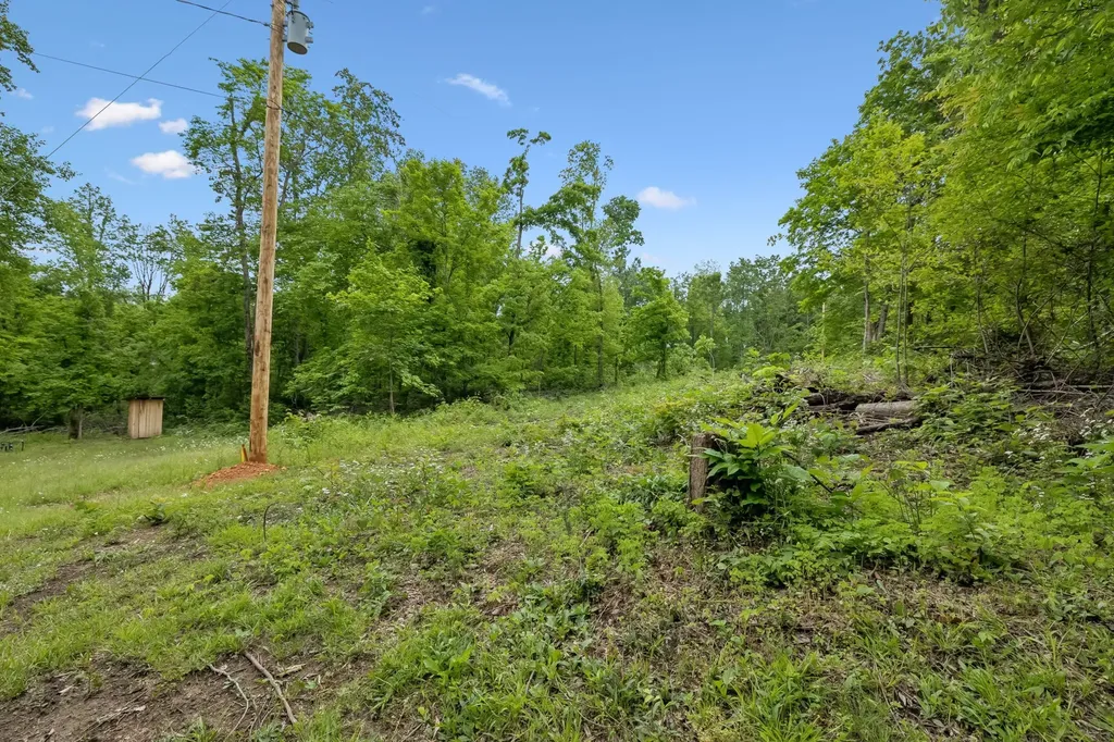 0 Wilderness Lane Lafayette TN 37083
