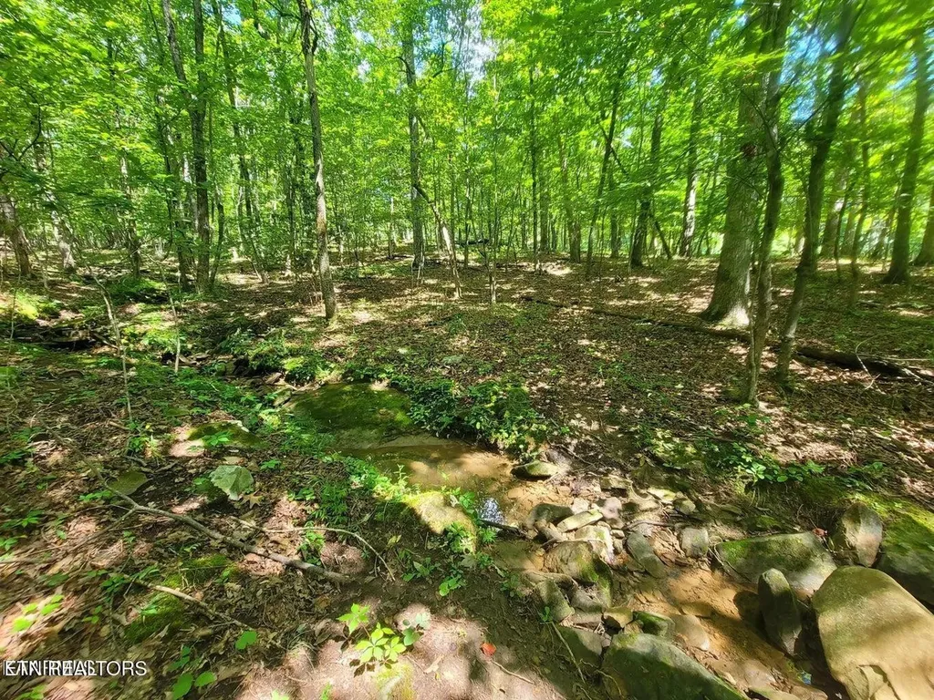 161 Sugarbush Circle Crossville TN 38558