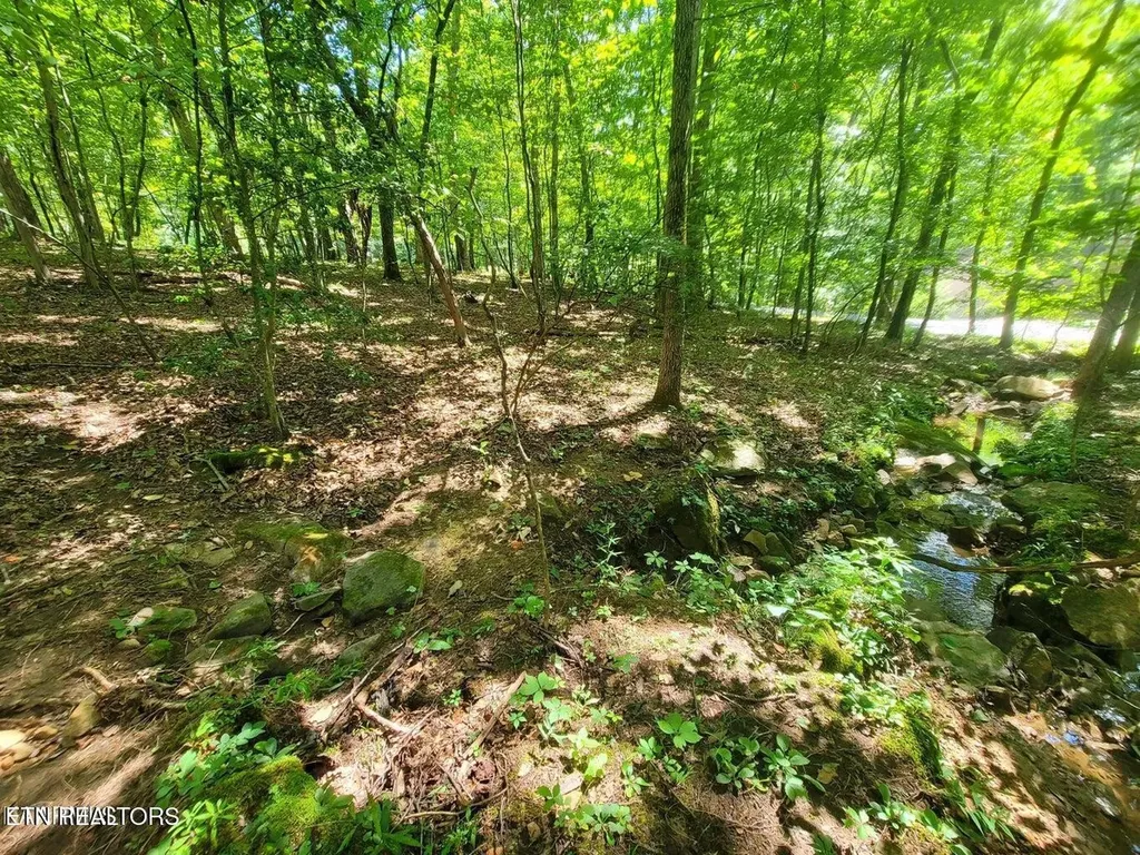 161 Sugarbush Circle Crossville TN 38558