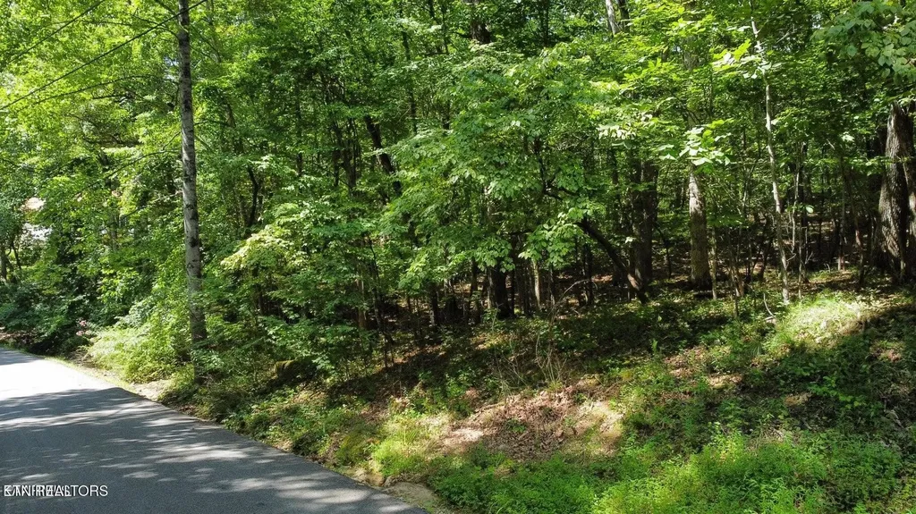 161 Sugarbush Circle Crossville TN 38558