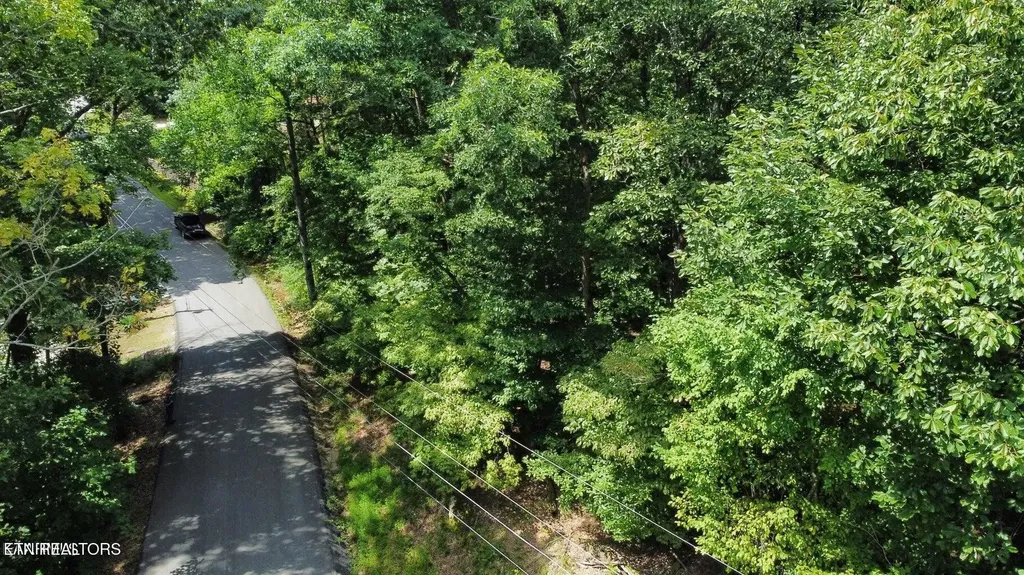 161 Sugarbush Circle Crossville TN 38558