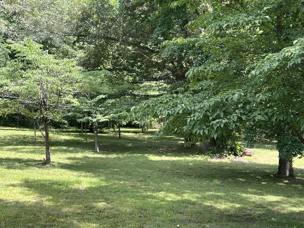 420 Shangri Lane Woodbury TN 37190