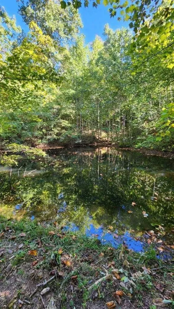420 Shangri Lane Woodbury TN 37190