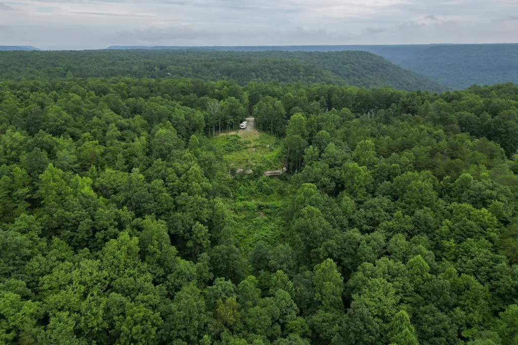 722 Flat Top View Lane Wilder TN 38589