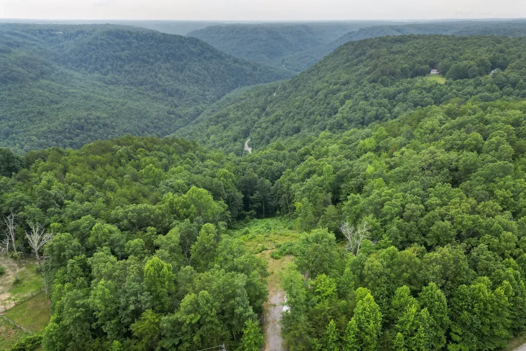 722 Flat Top View Lane Wilder TN 38589
