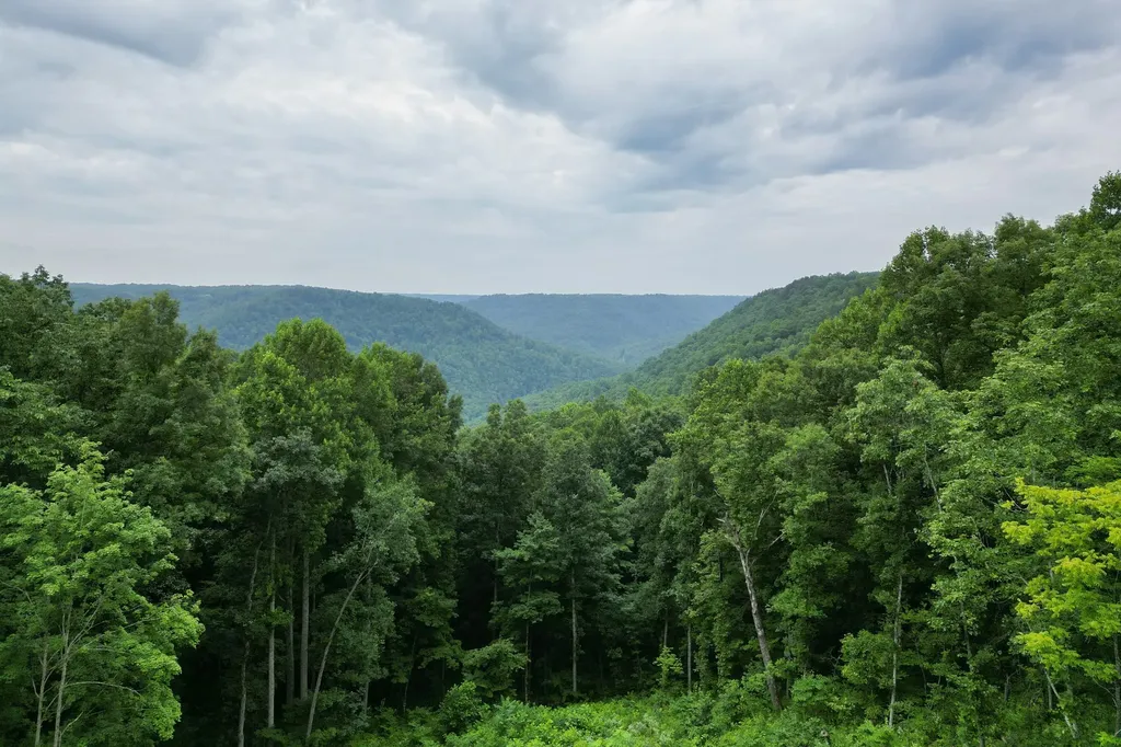 722 Flat Top View Lane Wilder TN 38589