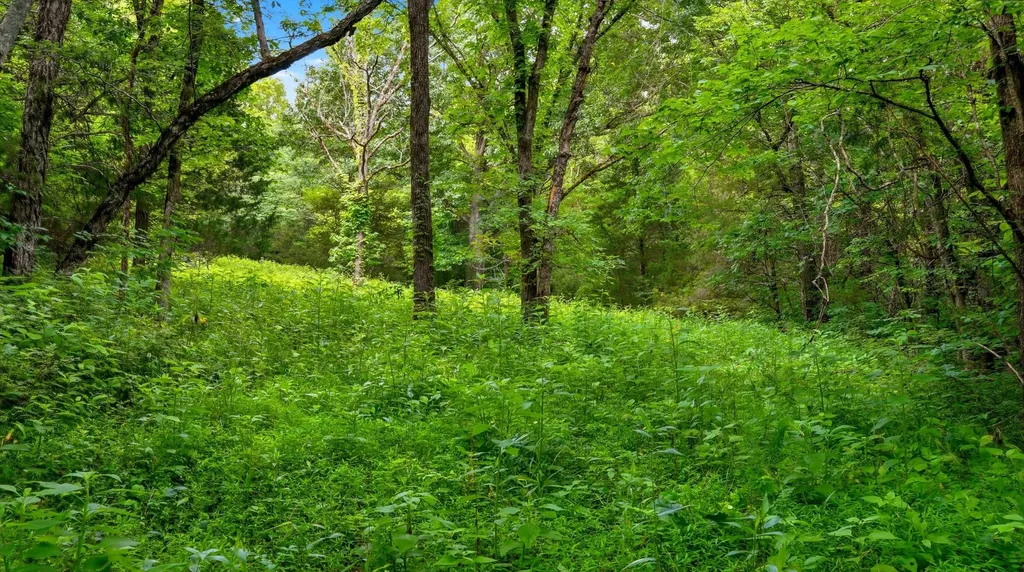 427 Adams Road Watertown TN 37184