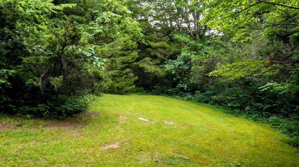 427 Adams Road Watertown TN 37184