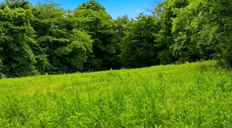 427 Adams Road Watertown TN 37184