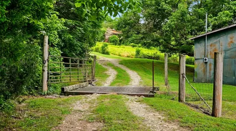 427 Adams Road Watertown TN 37184