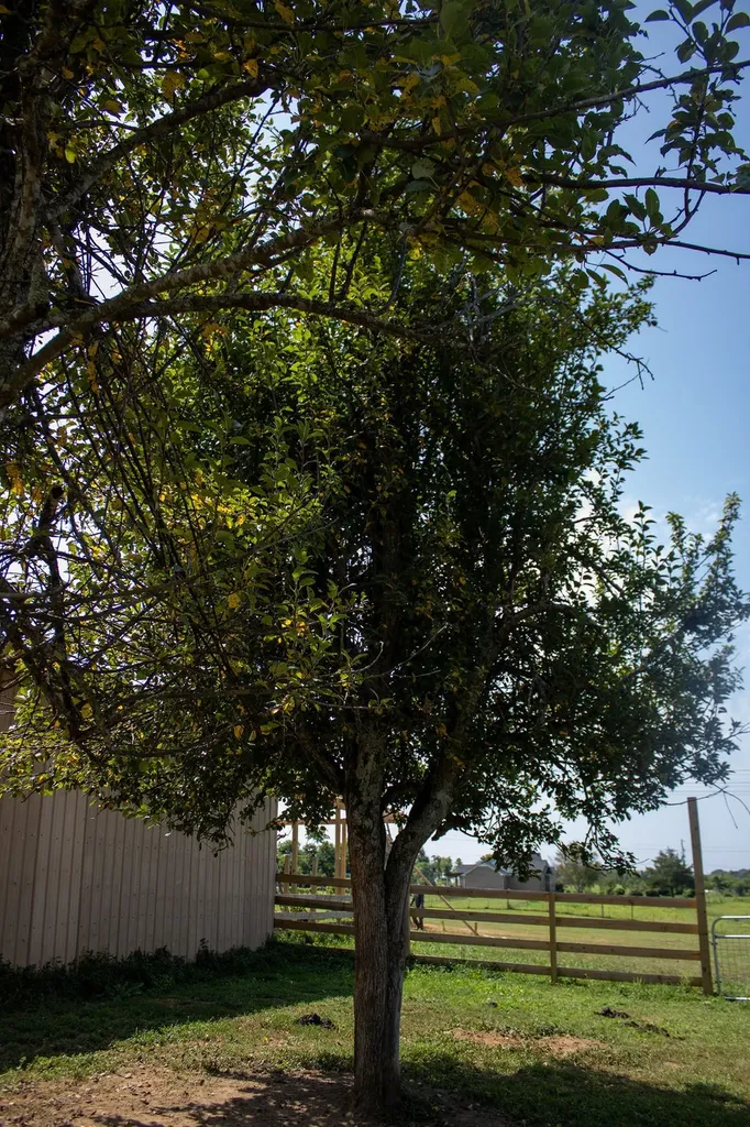 0 Clara Mathis Road Spring Hill TN 37174