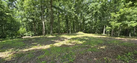 2770 Mayne Trace Road Waverly TN 37185