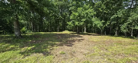 2770 Mayne Trace Road Waverly TN 37185