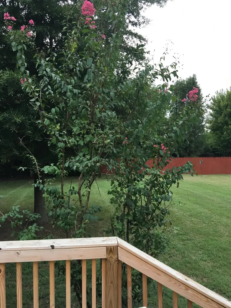 111 Sumner Meadows Lane Hendersonville TN 37075