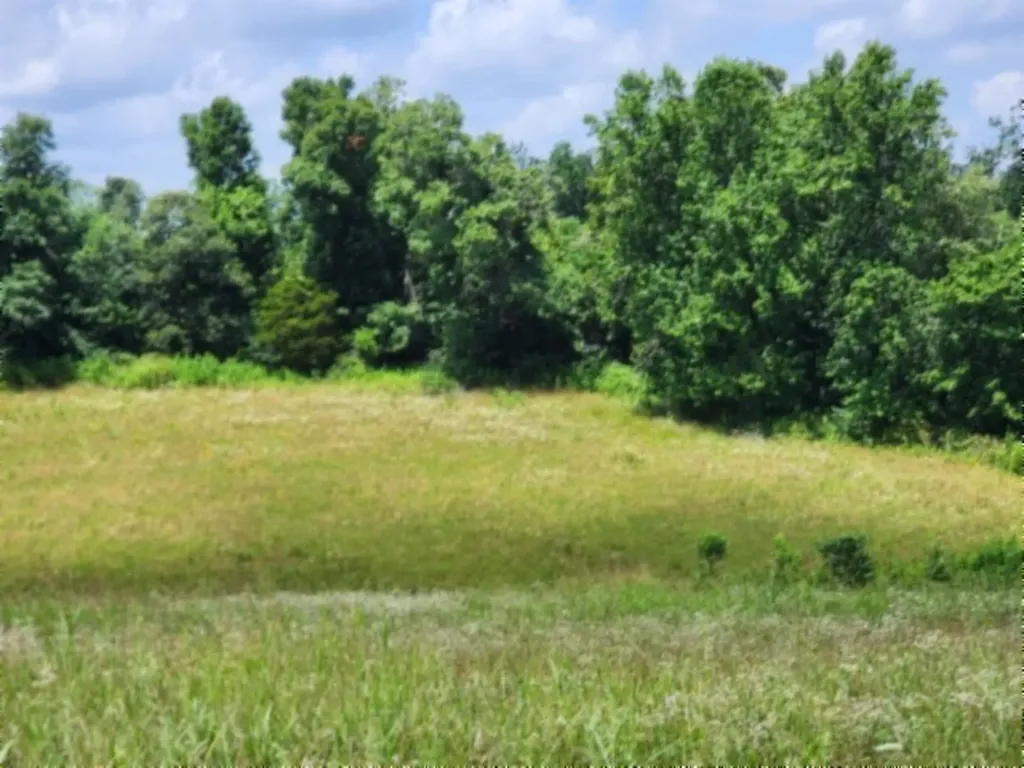 0 Rose Hill Road Red Boiling Springs TN 37150