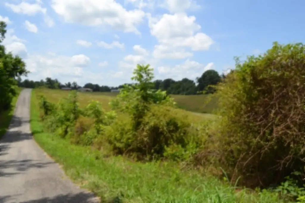 0 Rose Hill Road Red Boiling Springs TN 37150